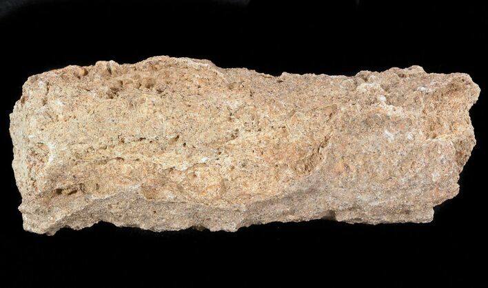 Fulgurite - Petrified Lightening #48365